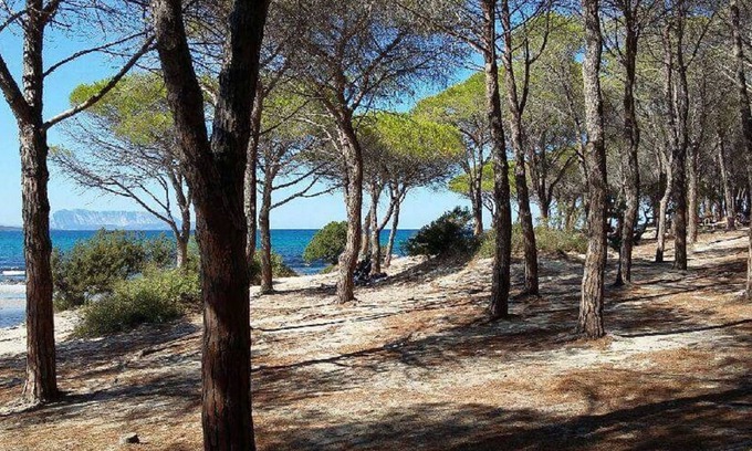 Limpiddu House | Charming house for 4 people in a quiet area with garden 2 km from the sea