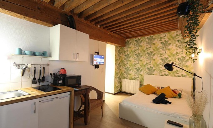 Terreaux - Bat d'argent Apartment | Charming Studio Centre Ville De Lyon