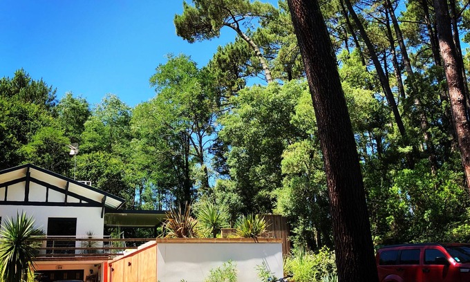 Seignosse Apartment | Charming T2 garden with trees and parking, close to beaches and golf course.