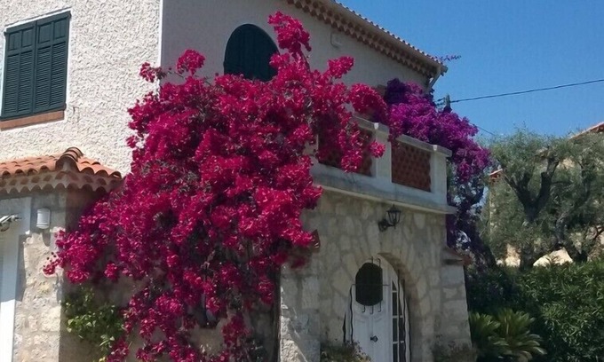 Cap-d'Antibes Villa | Charming villa in a private park, walk down to the sea from this peaceful spot