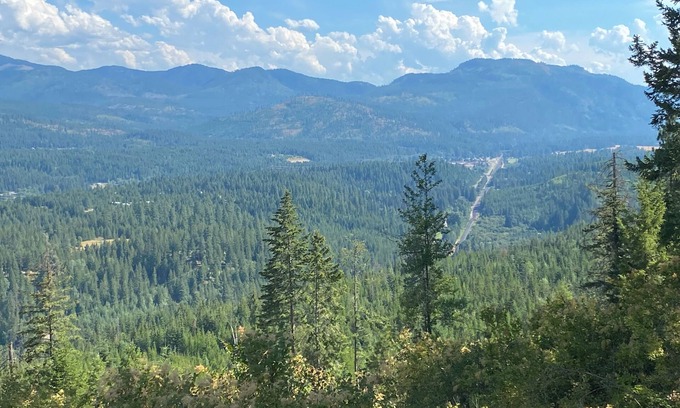 Boundary County Cabin | Charming yurt nestled in a private forest!