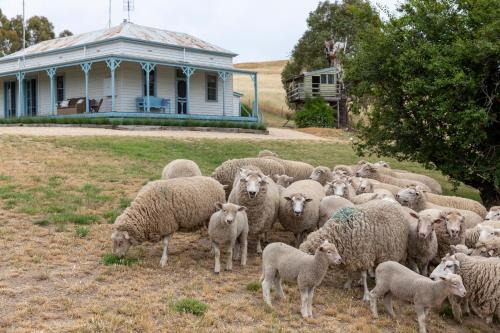 Drummond North House | CHARTER FARM - FIND YOUR HAPPY HAMLET