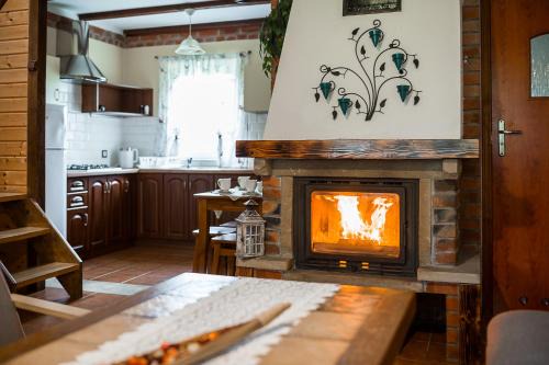 Myczkow House | chatkiagatki
