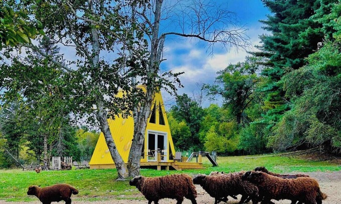 Highland Cabin | Cheese Wedge Cabin Idyllic Farm