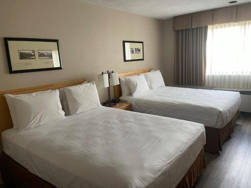 Coquitlam Hotel | Chelsea Inn