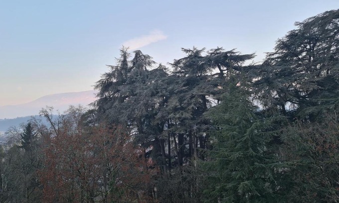 Aix-les-Bains City Center Apartment | Chez Mado