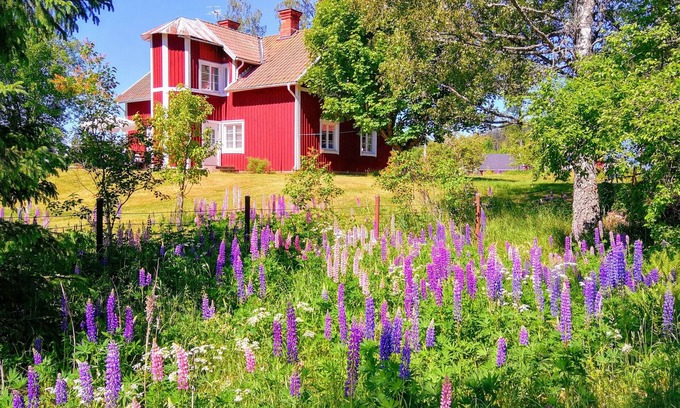 Vetlanda Cottage | Child friendly house - suitable for 2 families - on a sunny spot, lake, boat