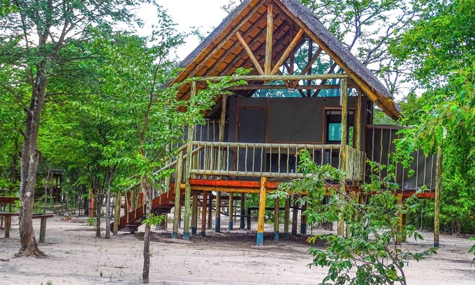 Chobe District Cabin | Chobe Mopani Forest Lodge & Camp site