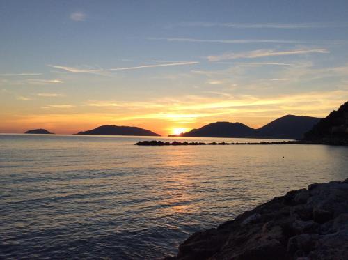 Cerri Bed & Breakfast | Cinqueterre Alla Chetichella