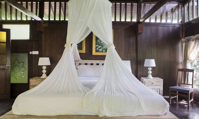 Ubud Villa | Citrus Tree Villas - Jean Francois