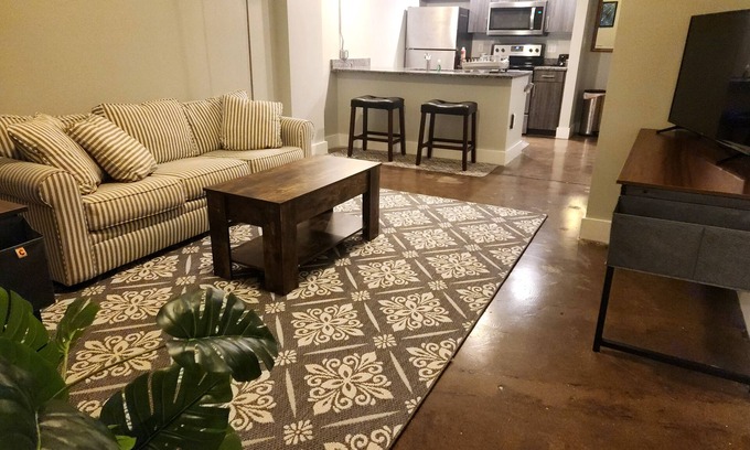 Monroe Ward Condo | City Arts District in Downtown VCU MCV