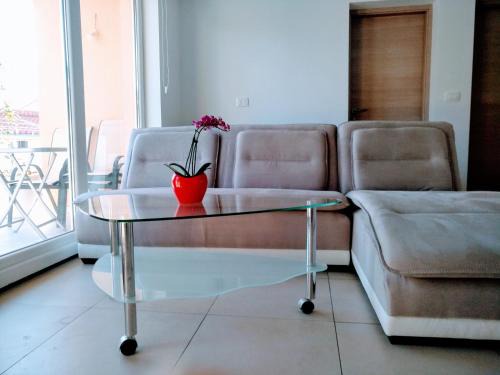Mejasi Apartment | City