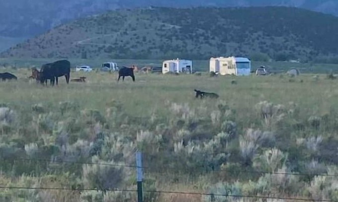 Almo RV Rental | City of Rocks Entrance CAMPSITE