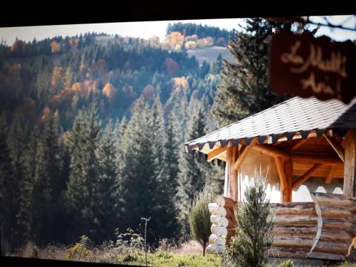 Ciumarna House | Ciumarna Holiday House