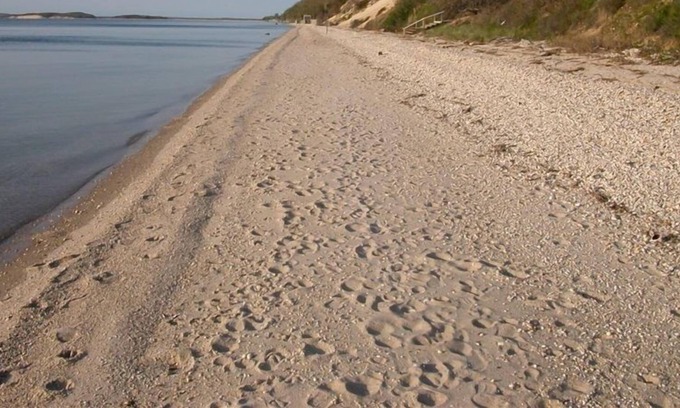 Village of Southampton Cottage | Classic Hamptons Beach Cottage