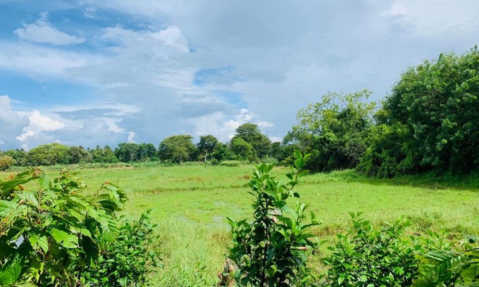 Anuradhapura Hostel | Coco Garden Holiday Homes