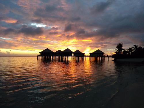 Maninoa Resort | Coconuts Beach Club Resort and Spa