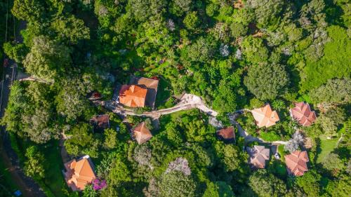 Boquete Hotel | Coffee Estate Inn