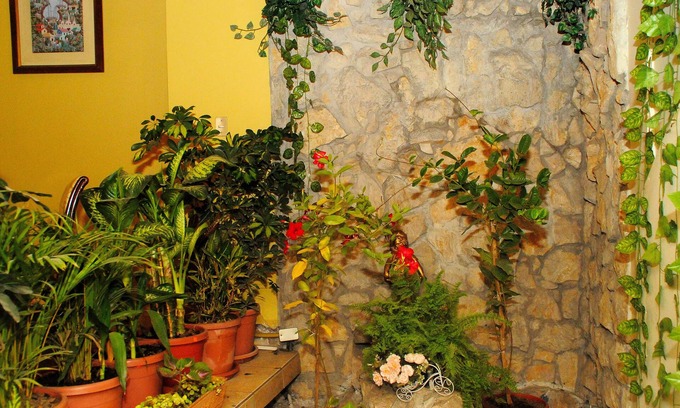 Parroquia Huachi Loreto Hotel | Colony Inn Hotel