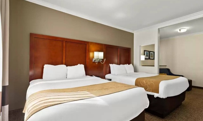 Central City Hotel | Comfort Suites Corpus Christi Central