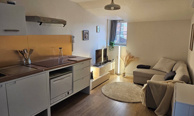 Meximieux Apartment | Comfortable, air-conditioned T2 apartment in the center of Meximieux