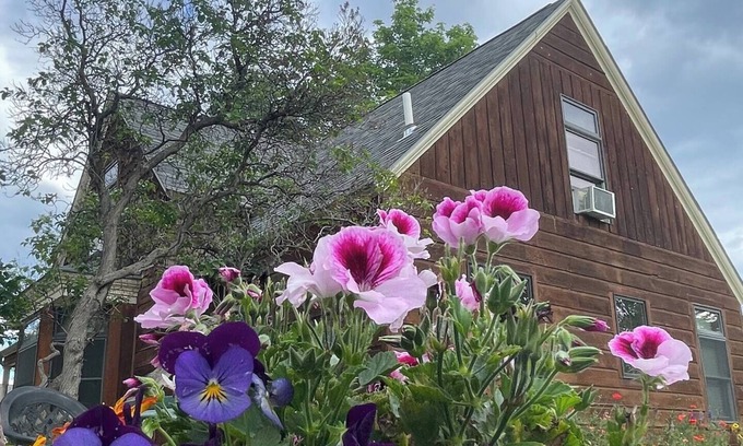 Helena House | Comfy, Charming 4-Bedroom Victorian Home in Central Helena - Vacation or Work