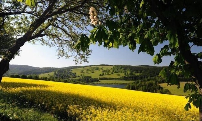 Neuwernsdorf Apartment | completely reconstructed non smoking and pet-free apartment for 4persons