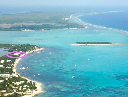Blossom Village Villa | Conch Club Cottage