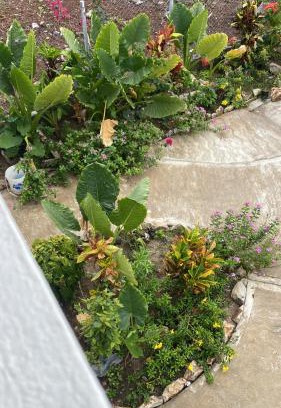 Union Island Apartment | Cool Breeze Suites