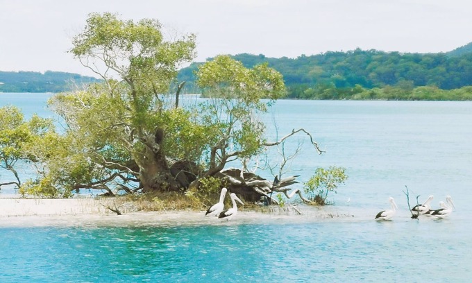 Coomera Boat Rental | Coomera Houseboat Holidays