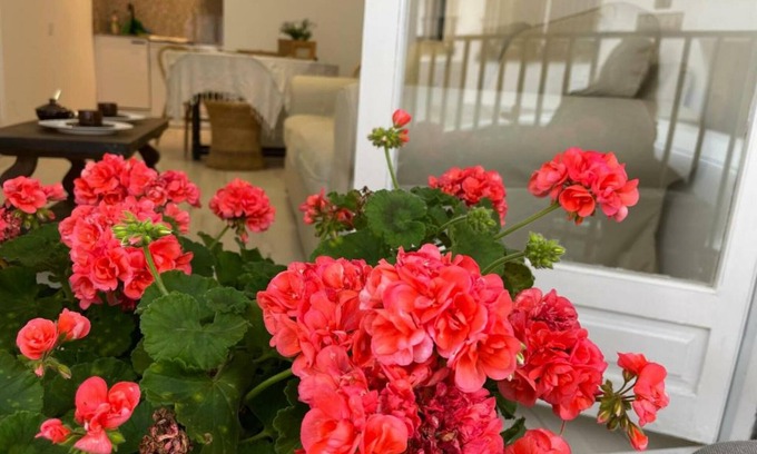 Llafranc Apartment | CORAL 14 - apartment in the center of Llafranc-Costa Brava