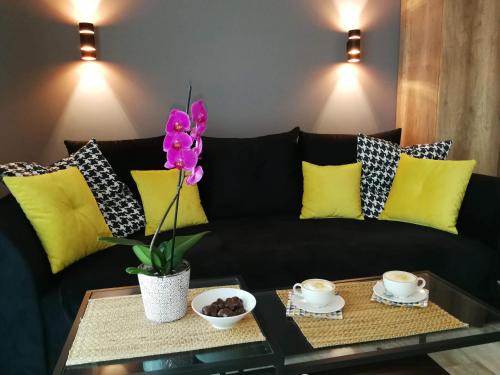 Sianozety Apartment | Coral SPA Apartament Pięć Mórz