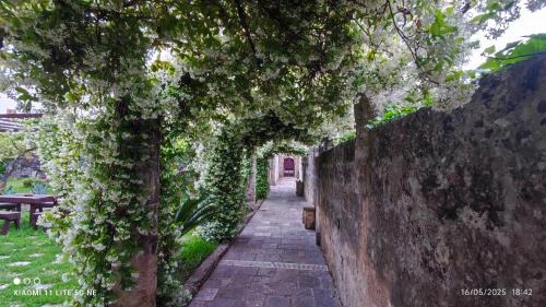 Tricase House | Corte Piri
