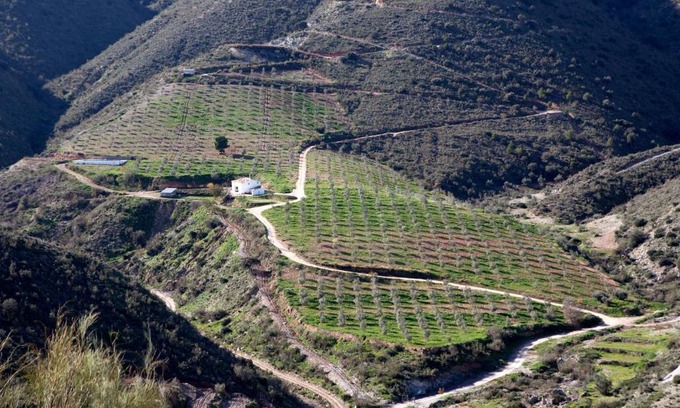Albanchez Ski Chalet | Cortijo El Rancho