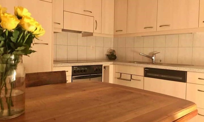 Matten bei Interlaken House | Cosy apartment in heritage protected swiss chalet