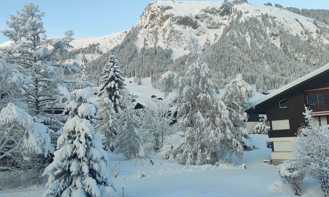 Lenk Apartment | Cosy apartment for 5 guests with WIFI, balcony and parking
