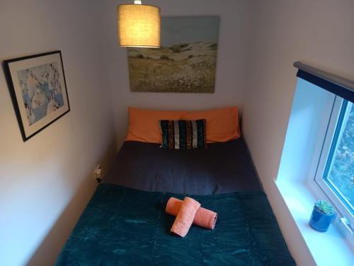 Adamsdown Apartment | Cosy Garden Flat near Bay & City Centre - Fast Wifi, 5 mins to centre