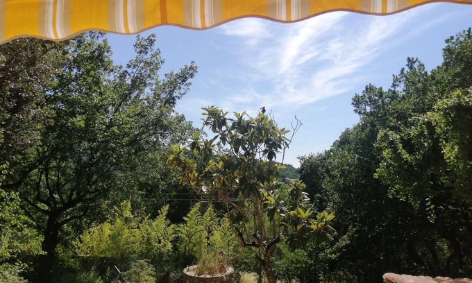 Les Latards House | Cosy house, nestled in nature, 5 minutes from the center