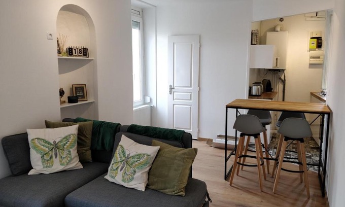 Faubourg North Apartment | Cosy T2 31m2 - Centre-Ville Dijon - Gare et Darcy