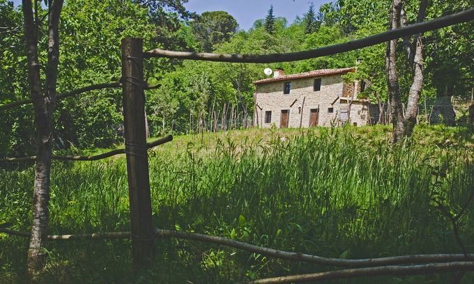 Castiglione di Garfagnana Cottage | Cottage in old chestnut grove set well away from the road