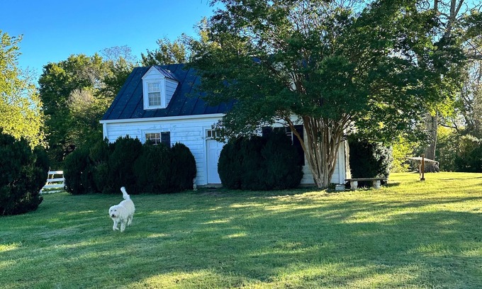 Gordonsville Other | Cottage and working farm in heart of Virginia wine country near UVA & Woodberry