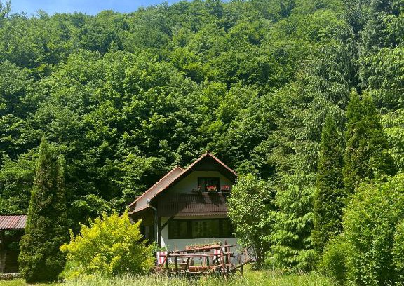 Poieni House | Cottage by the river Valea Draganului