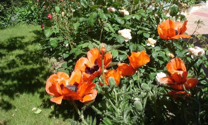 Le Coudray Bed & Breakfast | Couette et Cafe creme