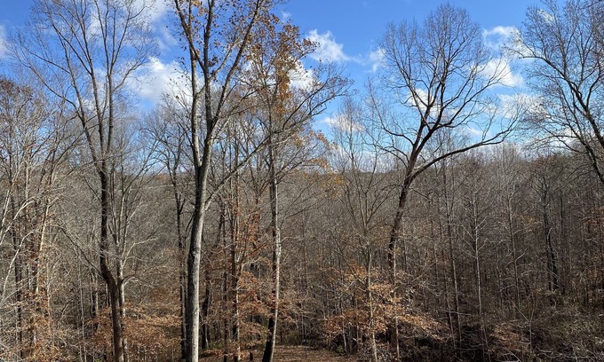Bowling Green House | Country Charm City Convenience: Beautiful 3-Bedroom 2.5-Bath Home Forest Views