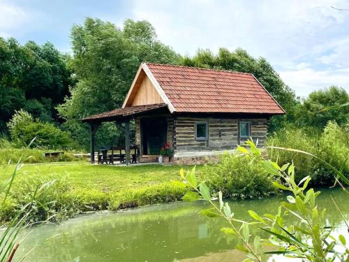 Vadu Crisului Ski Chalet | Country House