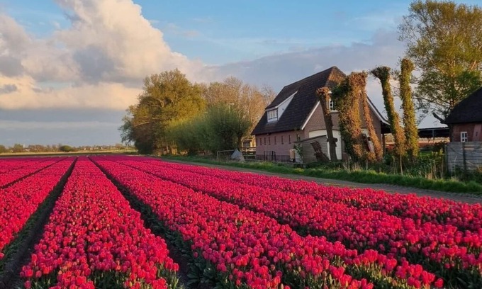 t Zand House | Country life Comfortable holiday residence