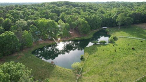 Bynum Other | Countryside Getaway Green Dome/serenefarm retreat