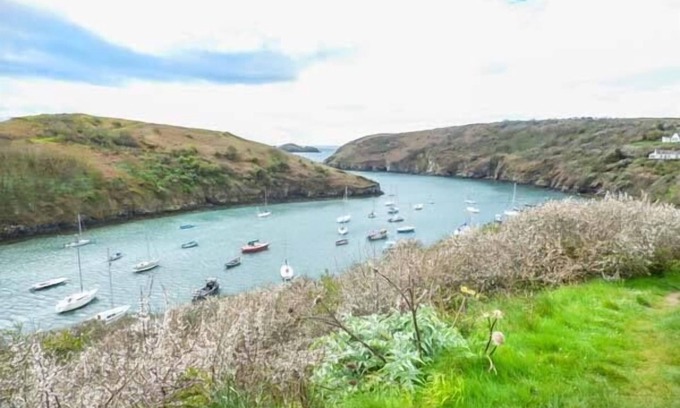 Solva Cottage | Court House
