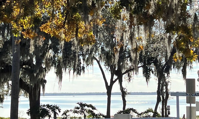 Clermont Condo | Cozy 2-bedroom Loft- Pool, Pickle Ball, B-ball, Theme Parks and More Clermont