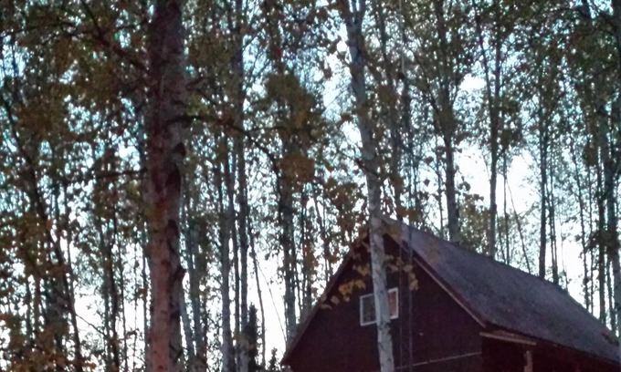Fairbanks Cottage | Cozy Alaskan Cottage